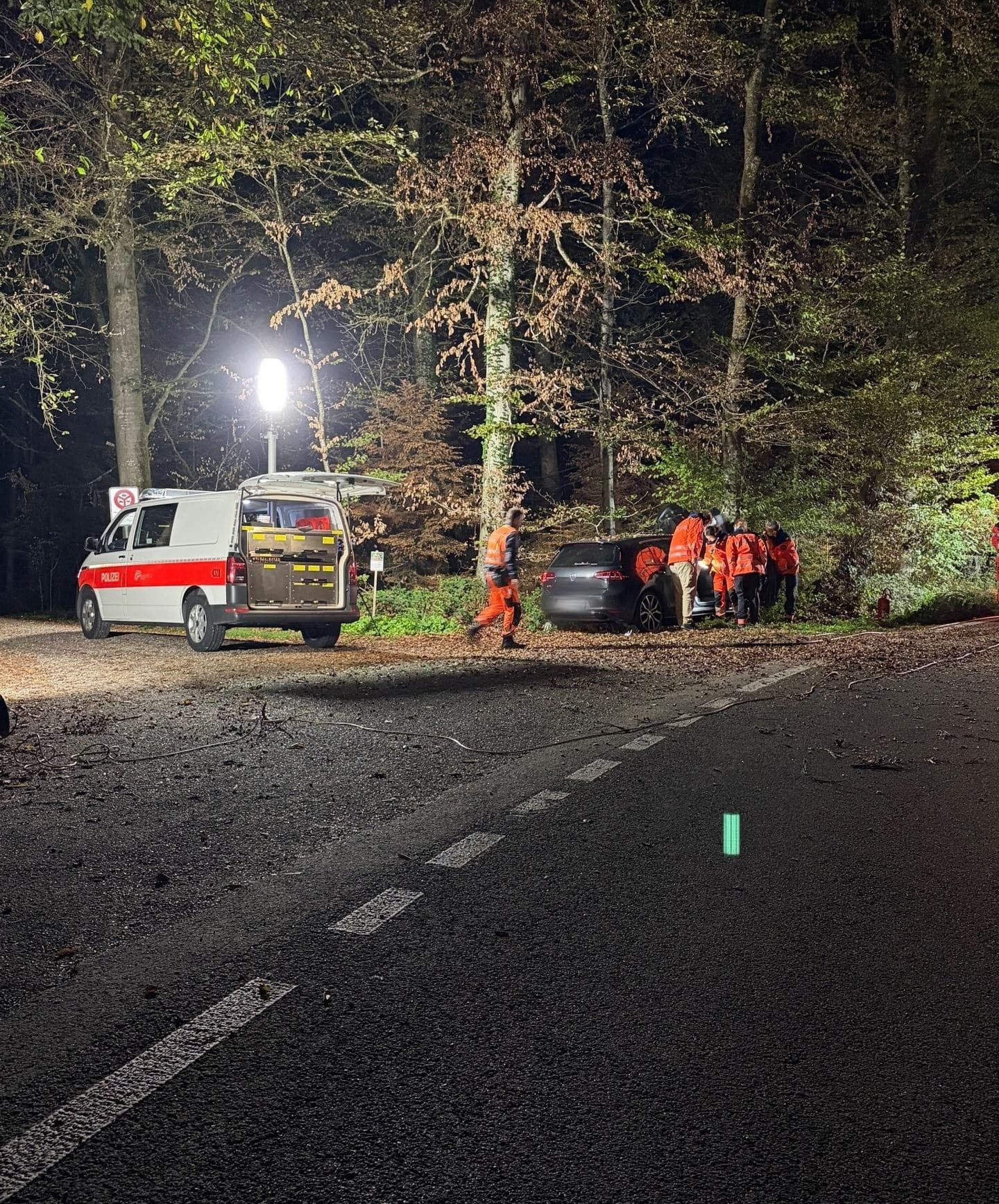 Selbstunfall auf der Freudwilerstrasse: das Unfallauto am Baum im nächtlichen Wald, daneben Polizisten und ein Polizeiwagen