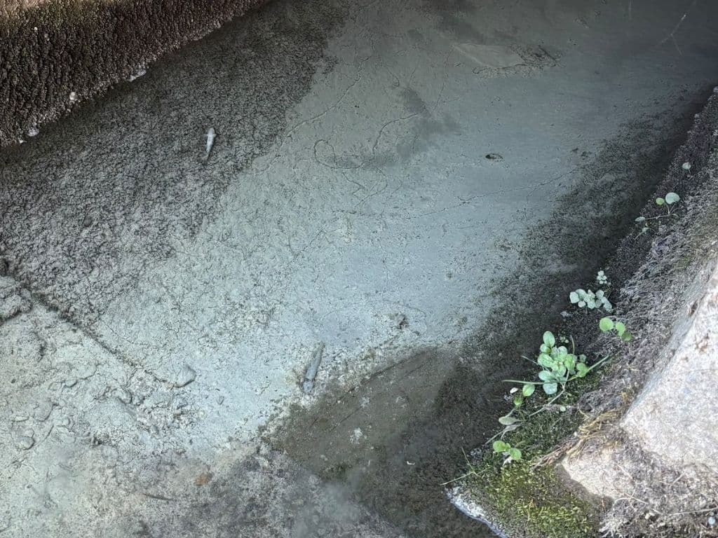 Titelbild der Polizeimitteilung: Länderenaach mit Verschmutzung (laut Mitteilung zeigen die Bilder graue Ablagerungen mit Fischen bzw. Schaum)