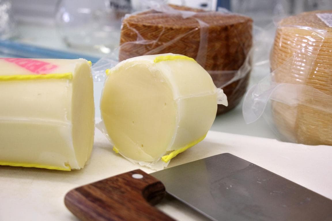 Bild aus der Mitteilung des Kantonalen Labors Zürich vom 16.10.2026. Bildlegende des Kantons: «Eine Probe Käse wird zur Untersuchung auf Konservierungsstoffe vorbereitet.» Zu sehen ist ein mit dem Messer halbiertes Stück Käse. Der Kanton nennt einen Credit («Quelle: Kantonales Labor Zürich, Mirjam Widmer»), bietet aber keinen eigenen Download und keinen ausdrücklichen Hinweis zur Nutzung an. Verwendung nur mit diesem Credit, als Bild zu einer amtlichen Mitteilung. Wer sicher gehen will, nimmt ein KI-Symbolbild.